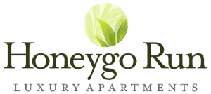 HoneyGo-Logo